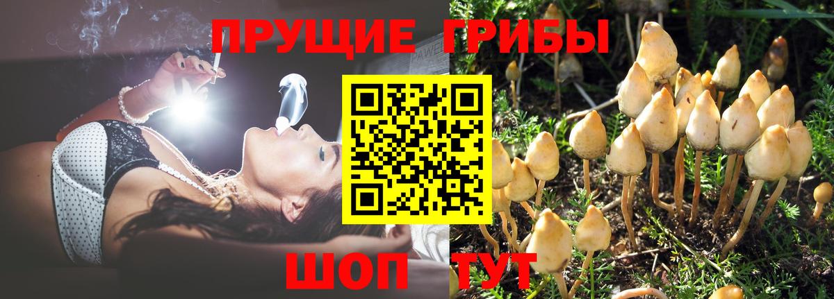 Галлюциногенные грибы Magic Shrooms  Галлюциногенные грибы Psilocybe  Вход с VPN  наркотики  Искитим 